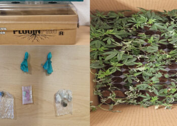 La Guardia Civil detiene a un hombre como presunto autor de un delito contra la salud pública / GUARDIA CIVIL