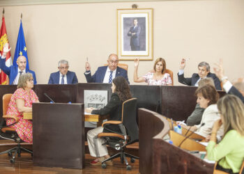 Votación del Pleno de la Diputación de este jueves. / KAMARERO