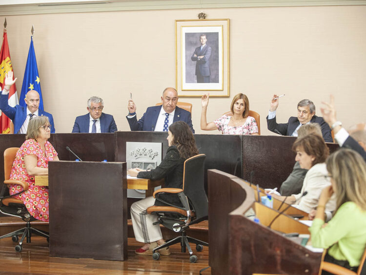 La Diputación apoya la dotación de medios a la Unidad Veterinaria de Carbonero 1 Votación del Pleno de la Diputación de este jueves. / KAMARERO