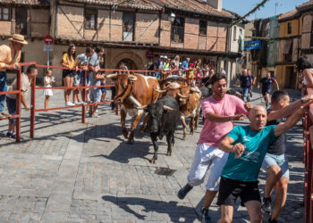Encierro en el barrio de San Lorenzo, en Segovia capital. / NEREA LLORENTE
