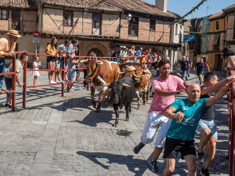 Encierro en el barrio de San Lorenzo, en Segovia capital. / NEREA LLORENTE