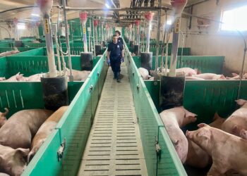 El director del Itacyl visita la granja experimental de Proinserga / JCYL