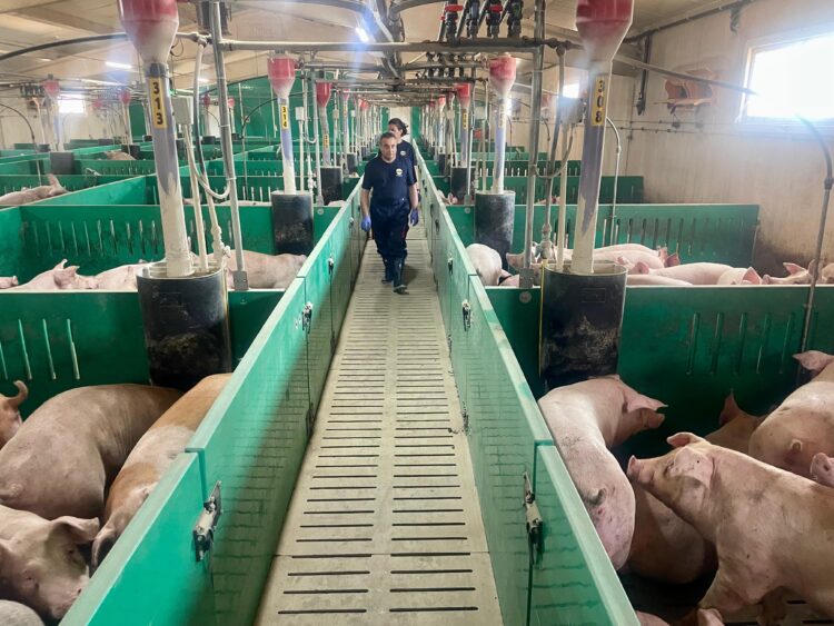 El director del Itacyl visita la granja experimental de Proinserga / JCYL