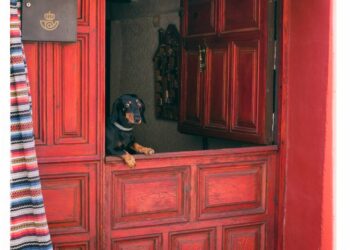 Foto de Almudena Alfaro 10