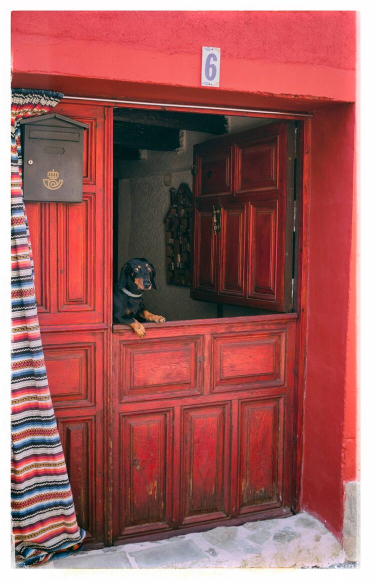 Foto de Almudena Alfaro 10