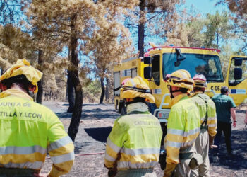 Operativo en un incendio forestal. / JCYL