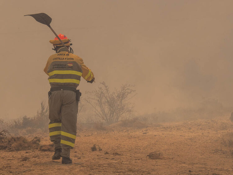 La rápida intervención de varios medios permite controlar un incendio en La Granja de San Ildefonso 1 Operativo en un incendio forestal. / NEREA LLORENTE