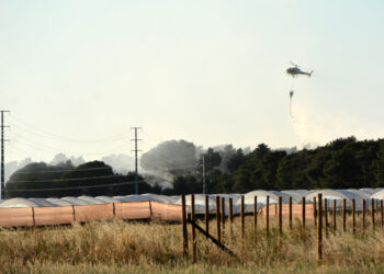 Incendio en el Pinar de Coca / AMADOR MARUGÁN