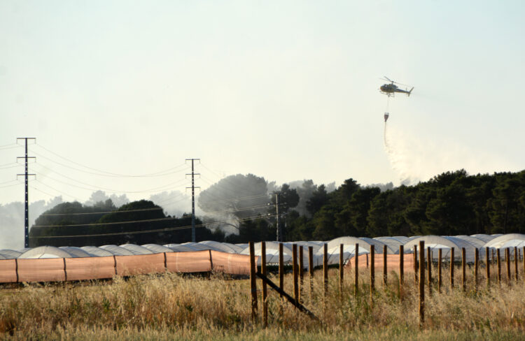 Incendio en el Pinar de Coca / AMADOR MARUGÁN