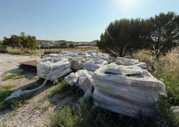 Recuperado el enlosado sustraído del Convento de San Francisco de Cuéllar / ICAL