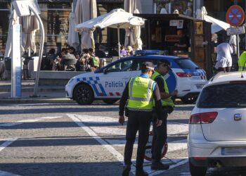 Policía Local en un control./ E.A.