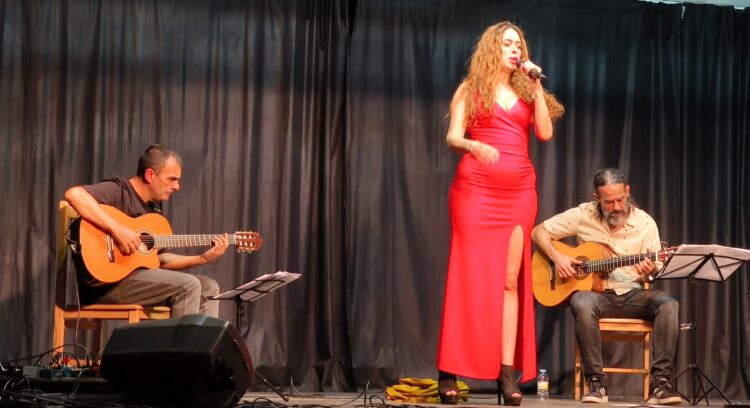 Shadi Sparkling, Batiste y Jesús Parra presentan su nuevo disco en Fuentepelayo 1 Actuación de Shadi Sparkling, Batiste y Parra en Fuentepelayo / JUAN CRUZ SERRANO