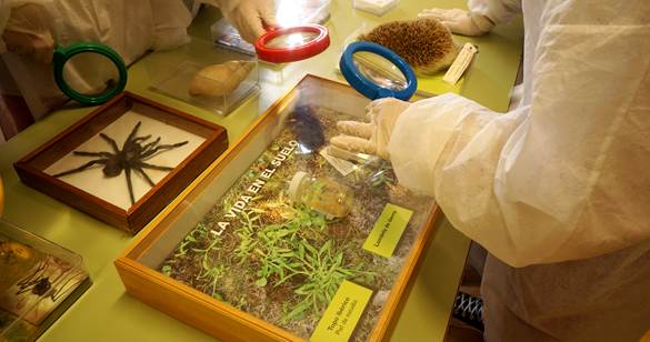 Uno de los talleres escolares desarrollados en el proyecto./XIOMARA CANTERA