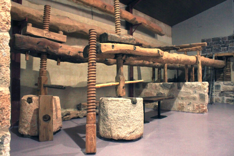 Museo de las vigas en la Bodega Severino Sanz.