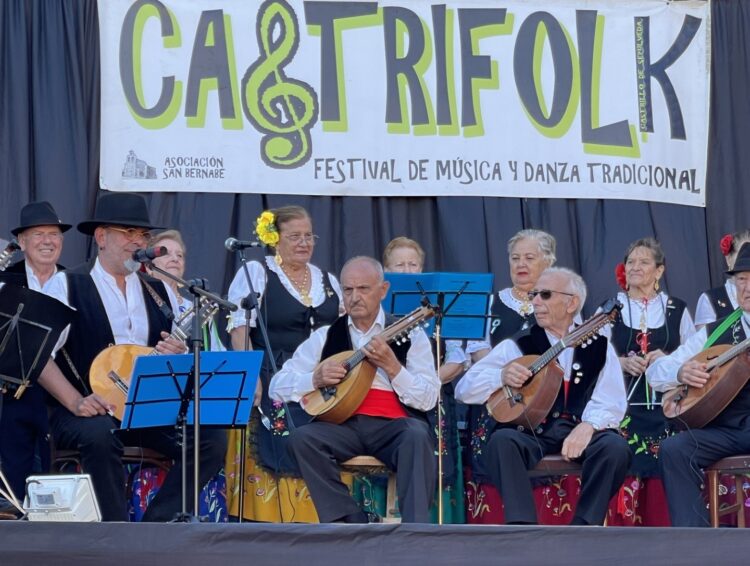 Una de las actuaciones llevadas a cabo dentro del festival de Castrillo de Sepúlveda./ E.A.