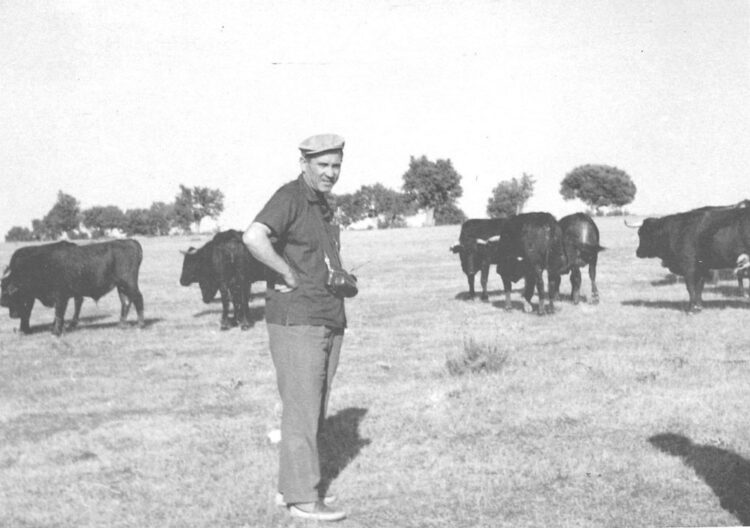 Rafael, en una ganadería del Campo de Salamanca.