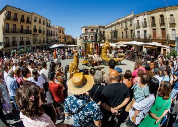 Una de las actuaciones celebradas en Ciudad Rodrigo./ ICAL