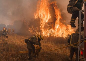 Los bomberos trabajan en la extinción del fuego declarado en Pumarejo de Tera, en la provincia de Zamora. / CESAR MANSO