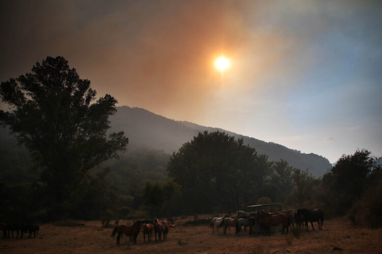 Se reducen a cuatro los incendios en nivel 2 del IGR en la Comunidad 1 El incendio en Fasgar (León), probablemente originado por un rayo, lleva activo desde el 8 de agosto. / Peio García