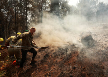 Trabajos de extinción en La Alberca (Salamanca), donde se han llegado a desplegar hasta 54 medios. / Vicente