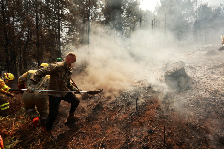 Más de 20 incendios continúan activos en Castilla y León 1 Trabajos de extinción en La Alberca (Salamanca), donde se han llegado a desplegar hasta 54 medios. / Vicente