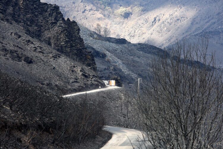 Bajan a nivel cero los fuegos en Candelario (Salamanca) y Molezuelas (Zamora). Este último ha calcinado unas 31.500 hectáreas. / César Hornija