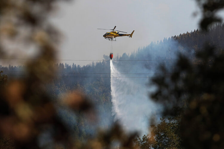 Diecicocho fuegos siguen activos en la región, tres en nivel 2 del IGR 1 Cerca de 800 personas siguen desalojadas de sus hogares a causa de los incendios. / Peio García