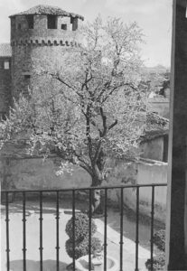 29 Foto Rio 1950 copia