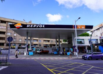 Gasolinera en la avenida Conde de Sepúlveda. /HÉCTOR CRIADO