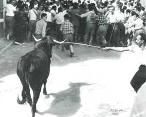 Encierro en la calle Carchena.