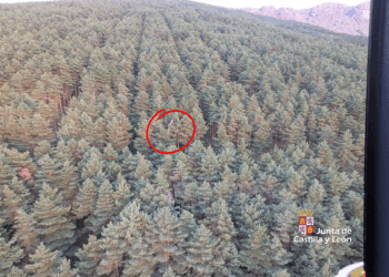 El Grupo de Rescate y Salvamento de la Junta auxilia a un parapentista en Arcones / JCYL