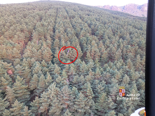 El Grupo de Rescate y Salvamento de la Junta auxilia a un parapentista en Arcones 1 El Grupo de Rescate y Salvamento de la Junta auxilia a un parapentista en Arcones / JCYL