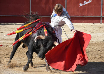 Natural del novillero Álvaro Serrano a un astado de la ganadería de Baltasar Ibán en La Granja de San Ildefonso. / A.M.