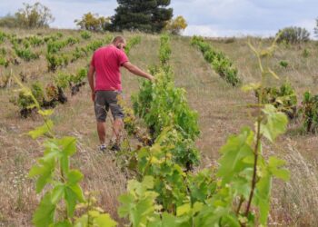 Las subvenciones ayudarán a fijar población. / DIPUTACIÓN