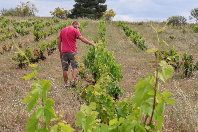 La Diputación concede más de 45.000 euros de ayuda a los emprendedores segovianos 1 Las subvenciones ayudarán a fijar población. / DIPUTACIÓN