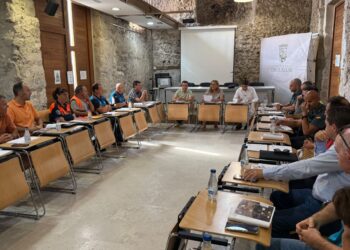 Junta Local de Seguridad de Cuéllar / SUBDELEGACIÓN DEL GOBIERNO EN SEGOVIA