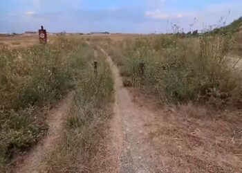 Las malas hierbas han tomado la ruta verde./ESTACIÓN ORTIGOSA DE PESTAÑO