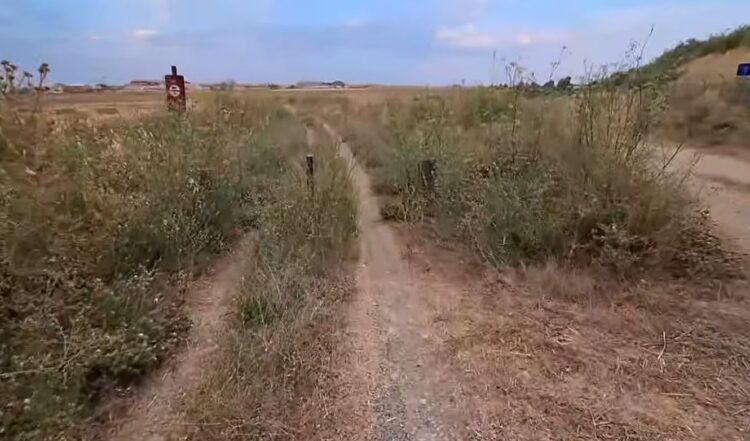 Las malas hierbas han tomado la ruta verde./ESTACIÓN ORTIGOSA DE PESTAÑO