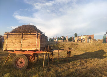 Carro con el barrujo usado para la alimentación de los hornos.