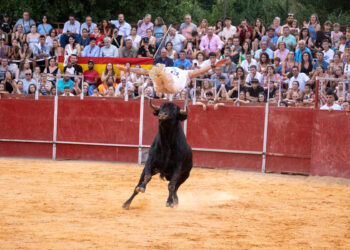 Concurso Recortes Saltos y Quiebros San Lorenzo - Héctor Criado