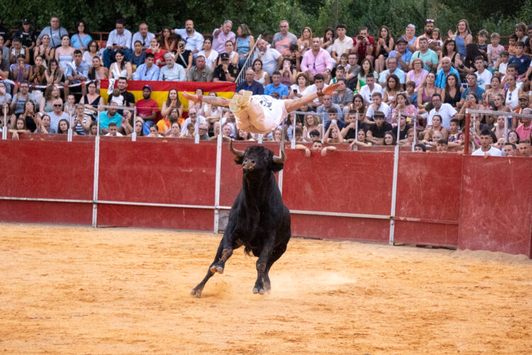Concurso Recortes Saltos y Quiebros San Lorenzo - Héctor Criado