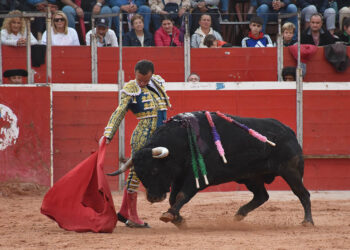 Damián Castaño, en Riaza (2024). / A.M.