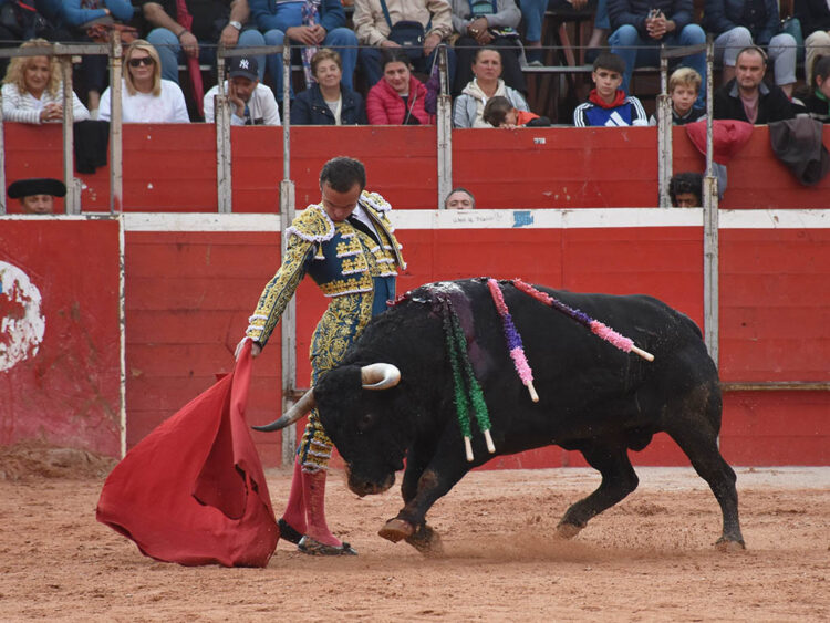 Seis festejos componen la feria torista de <h3 class='enlacePalabraNoticia' onclick='opcionBuscarActualidad('Riaza','')' >Riaza</h3>
