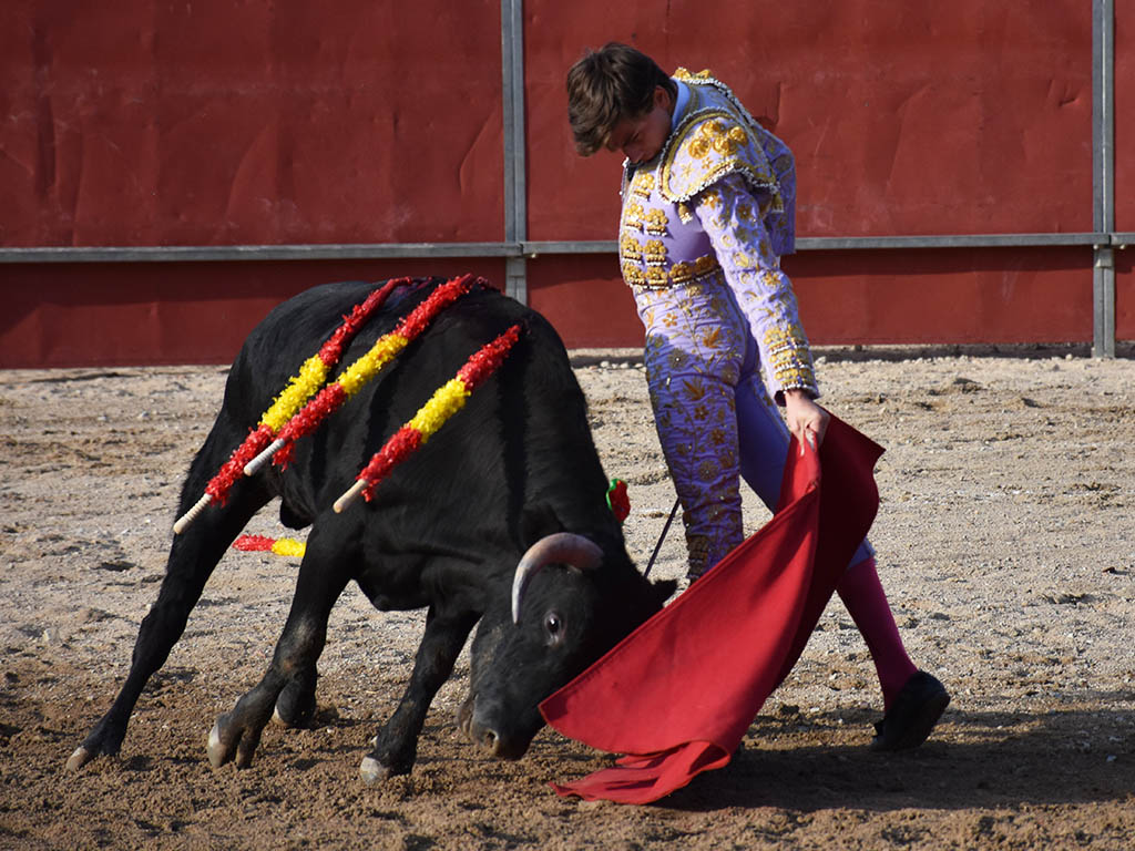 Baltasar Ibán tensa la competencia por el ‘Judión de oro’ de La Granja 3 Toreo de mano baja del joven Daniel García. / A.M.