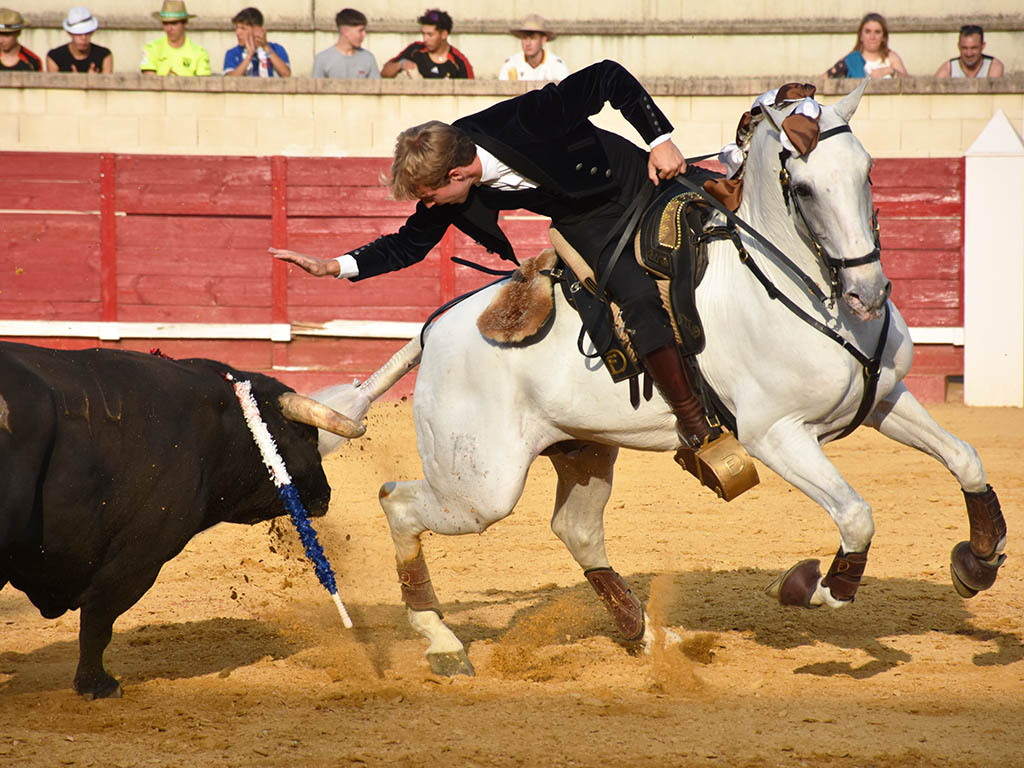 Actuación del rejoneador portugués Duarte Fernandes en Cantalejo. / A.M.