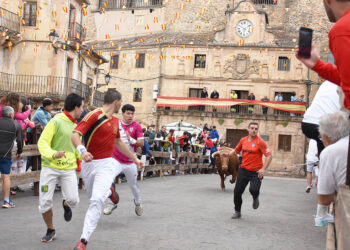 Primer encierro de Sepúlveda, con los novillos de Pedraza de Yeltes. / A.M.