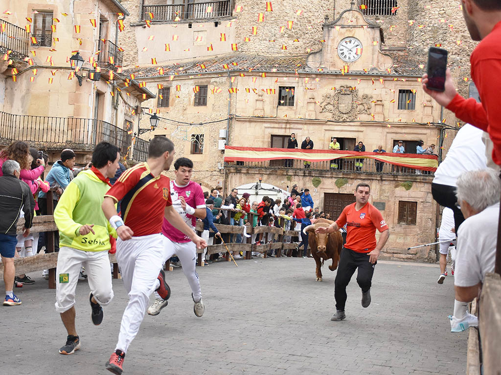 Primer encierro de Sepúlveda, con los novillos de Pedraza de Yeltes. / A.M.