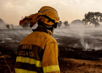 Incendio forestal, en una imagen de archivo. / ICAL