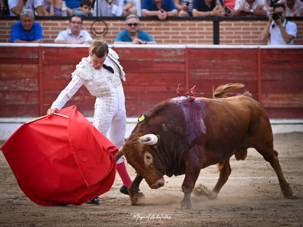 Triunfo de Morenito de Aranda y Sergio Rodríguez en El Espinar con los toros de Peñajara 3 Toreo largo de Javier Cortés en El Espinar. / MIGUEL ARBOLEDAS FOTOGRAFÍA TAURINA (LOYJOR)