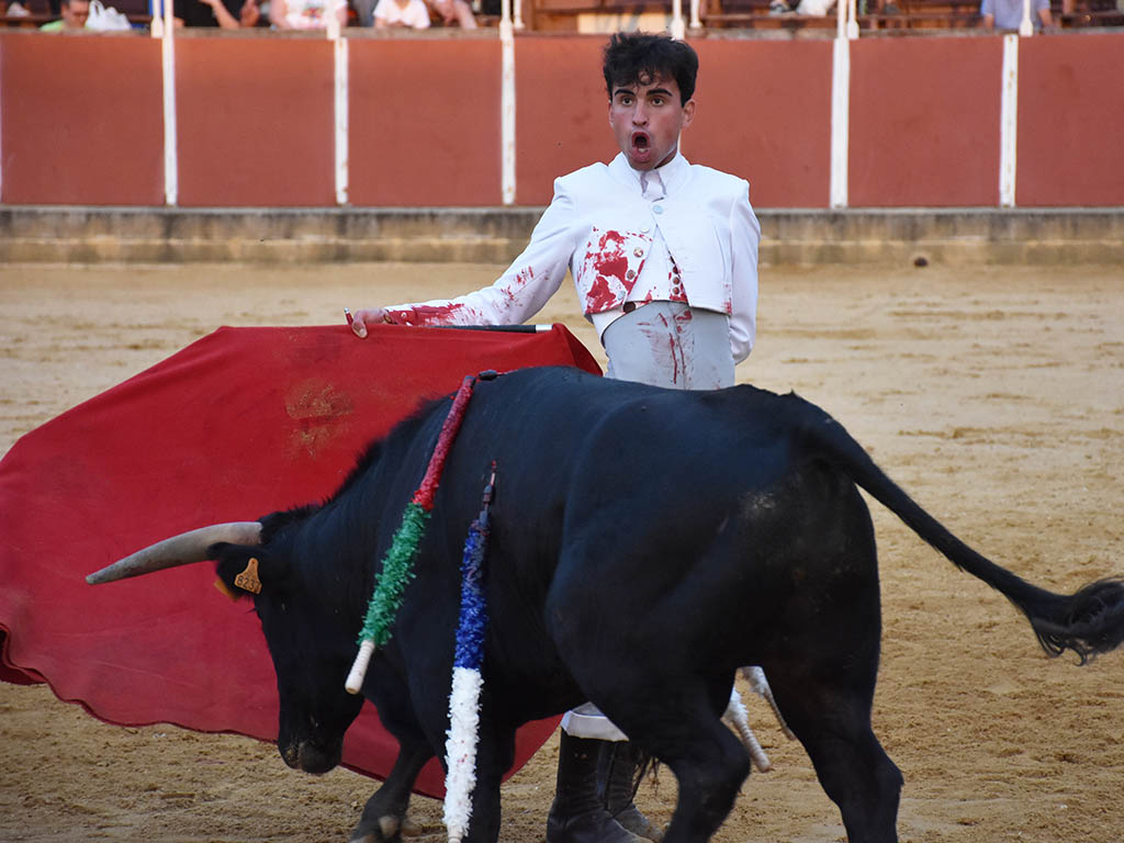 Manoletina de Joselito de Córdoba, con el último novillo de El Tajo.